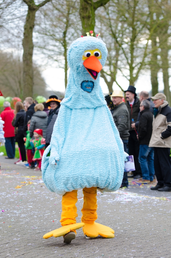 Carnaval zaterdag-263.jpg